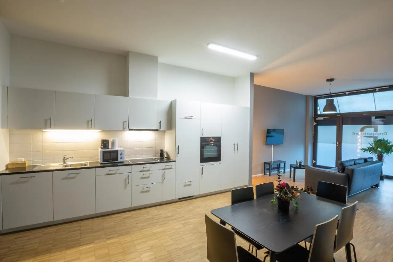 Proapartment Basel 0*,  İsviçre